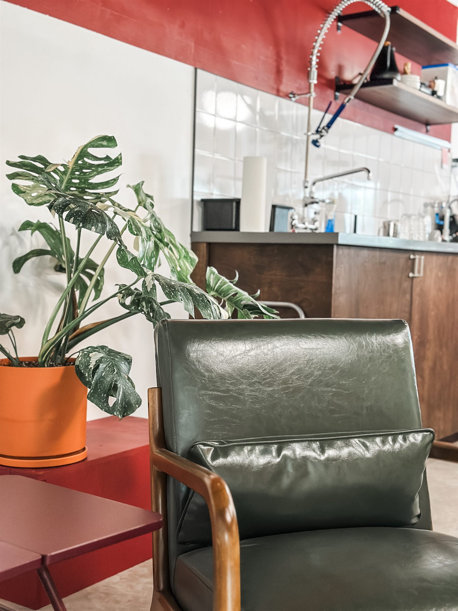 Leather lounge chair and plants in the customer area